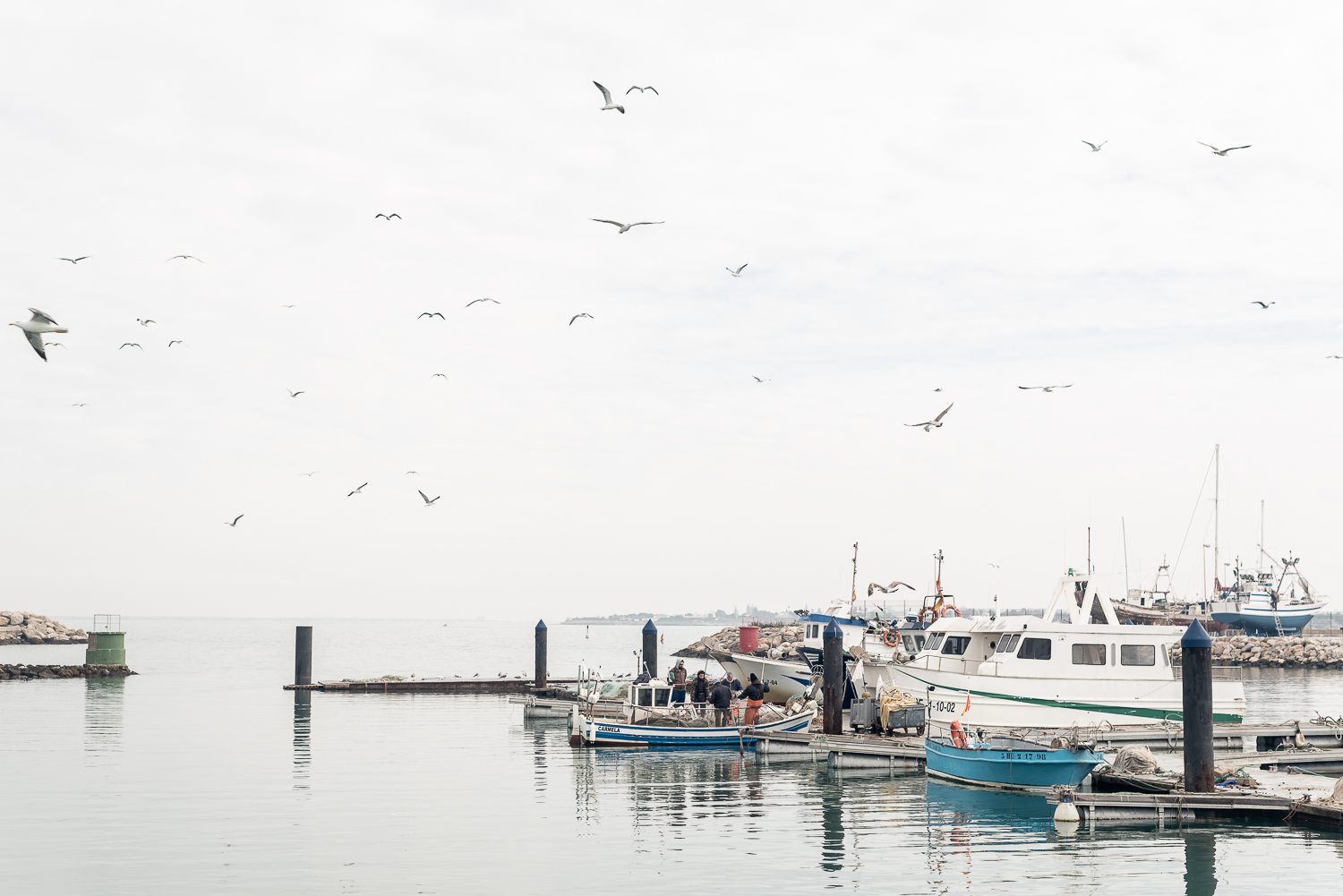 Tribeca &mdash; Golfo de C&aacute;diz