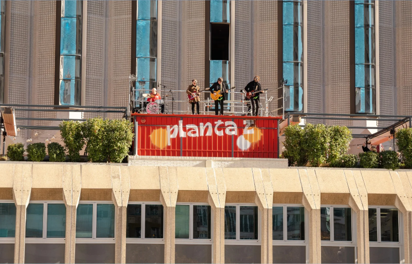 Planta Z